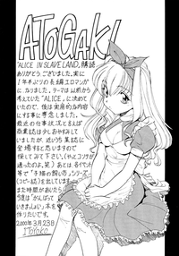 Alice in Slave Land hentai