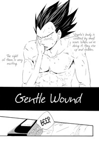 Gentle Wound hentai