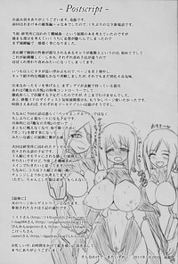 Shield Knight Elsain Vol. 10 MALICIOUS SISTERS hentai