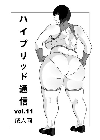 Hybrid Tsuushin vol.11 hentai