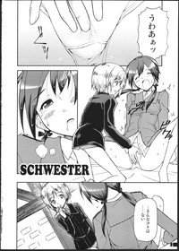 SCHWESTER hentai