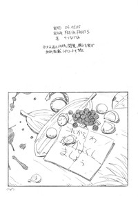 Fresh Fruit S Copy Book 060505 hentai