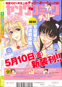 Young Comic 2013-04 hentai