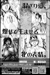 COMIC Shingeki 2013-05 hentai