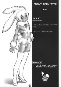 Bunny Boys Collection 2 hentai