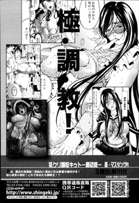 COMIC Shingeki 2013-06 hentai