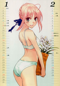 Fate Mini Calendar 2007 hentai