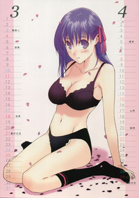 Fate Mini Calendar 2007 hentai