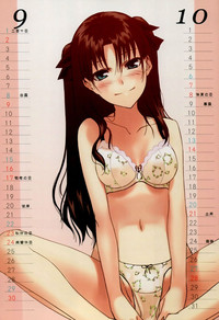 Fate Mini Calendar 2007 hentai