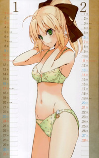 2010 Type-Moon Calendar hentai