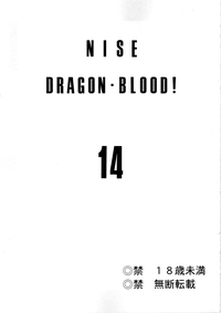 Hajime Taira - Dragon Blood 14 hentai