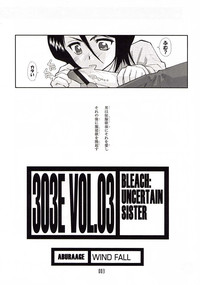 303e Vol.03: Bleach Edition - Bleach: Uncertain Sister hentai