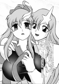 Jikken Ningyou ～Lacus Clyne &amp; Meer Campbell～ hentai