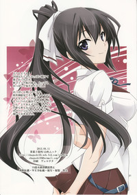 Burst Up! Infinite Stratos FAN BOOK hentai