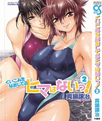 Kuikomi wo Naoshiteru Hima wa Nai! Vol. 2 hentai