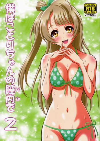 Boku wa Kotori-chan no Naka de 2 hentai