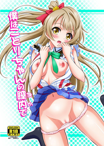 Boku wa Kotori-chan no Naka de hentai