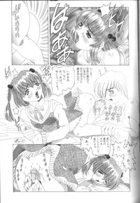 Fuuin No Sho - Obscenity Sealed within the Book hentai