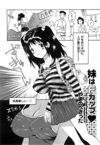 COMIC Hime Dorobow 2008-08 hentai