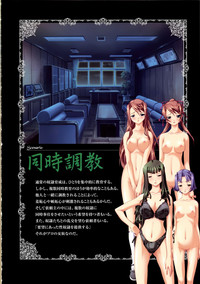 Saint Dorei Gakuen Visual Fan Book hentai