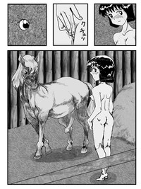 The Stallions and the Girls hentai