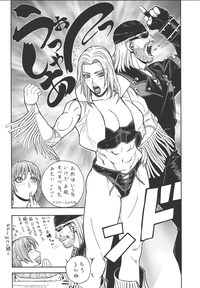 Fighters Giga Comics Round 3 hentai