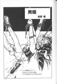 Himitsu no Chikashitsu Vol.1 hentai