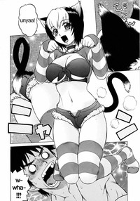 Miracle Kitty Punch hentai