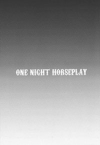 ONE NIGHT HORSEPLAY hentai