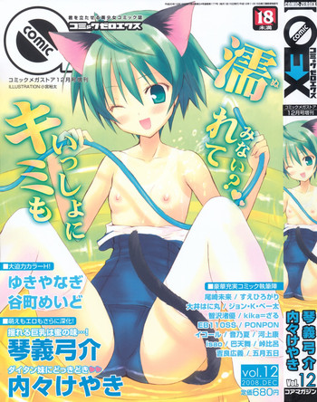 COMIC 0EX Vol. 12 2008-12 hentai
