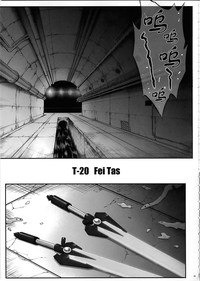 T-20 Fei Tas hentai