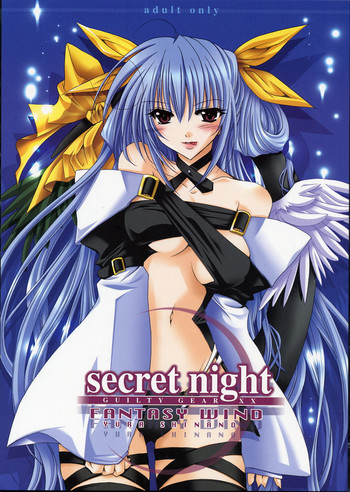 secret night hentai