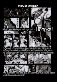 Hadakahime Honoka 2 Misemono Tanetsuke Saru Koubi | Naked Princess Honoka 2 - Mating Exhibition: Monkey Coitus hentai