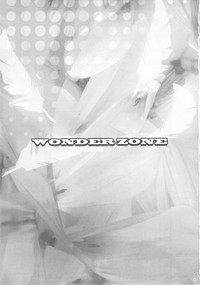 WONDER ZONE hentai