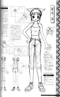 SUIKA Official Visual Fan Book hentai
