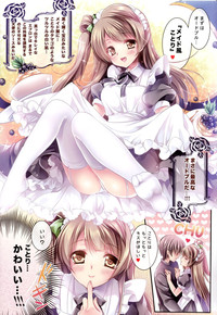 Kotori no SPECIAL LOVE SET hentai