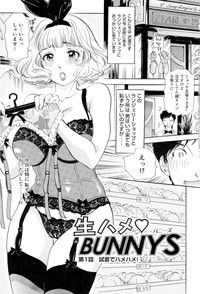 Namahame Bunnys hentai