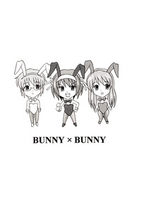 BUNNYxBUNNY hentai