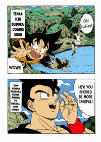 Dragon Ball H hentai