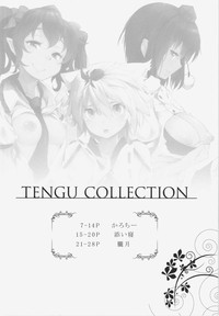 TENGU COLLECTION hentai