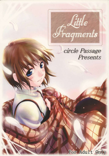 Little Fragments hentai