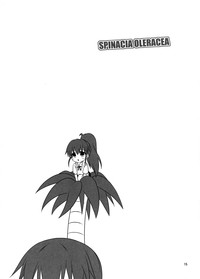 SPINACIA OLERACEA hentai