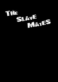 THE SLAVE MATES hentai
