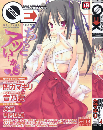 COMIC 0EX Vol. 14 2009-02 hentai