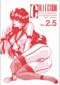 COLLECTION OFILLUSTRATIONS FOR ADULT Vol.2 hentai