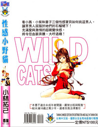 Wild Cats | 性感小野貓 hentai