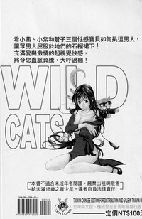 Wild Cats | 性感小野貓 hentai