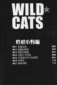 Wild Cats | 性感小野貓 hentai