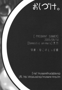 Pregnant Summer. hentai