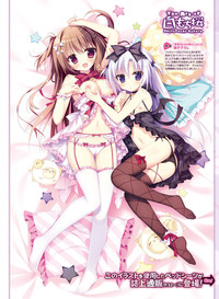 Dengeki Otona no Moeoh Vol.05 hentai